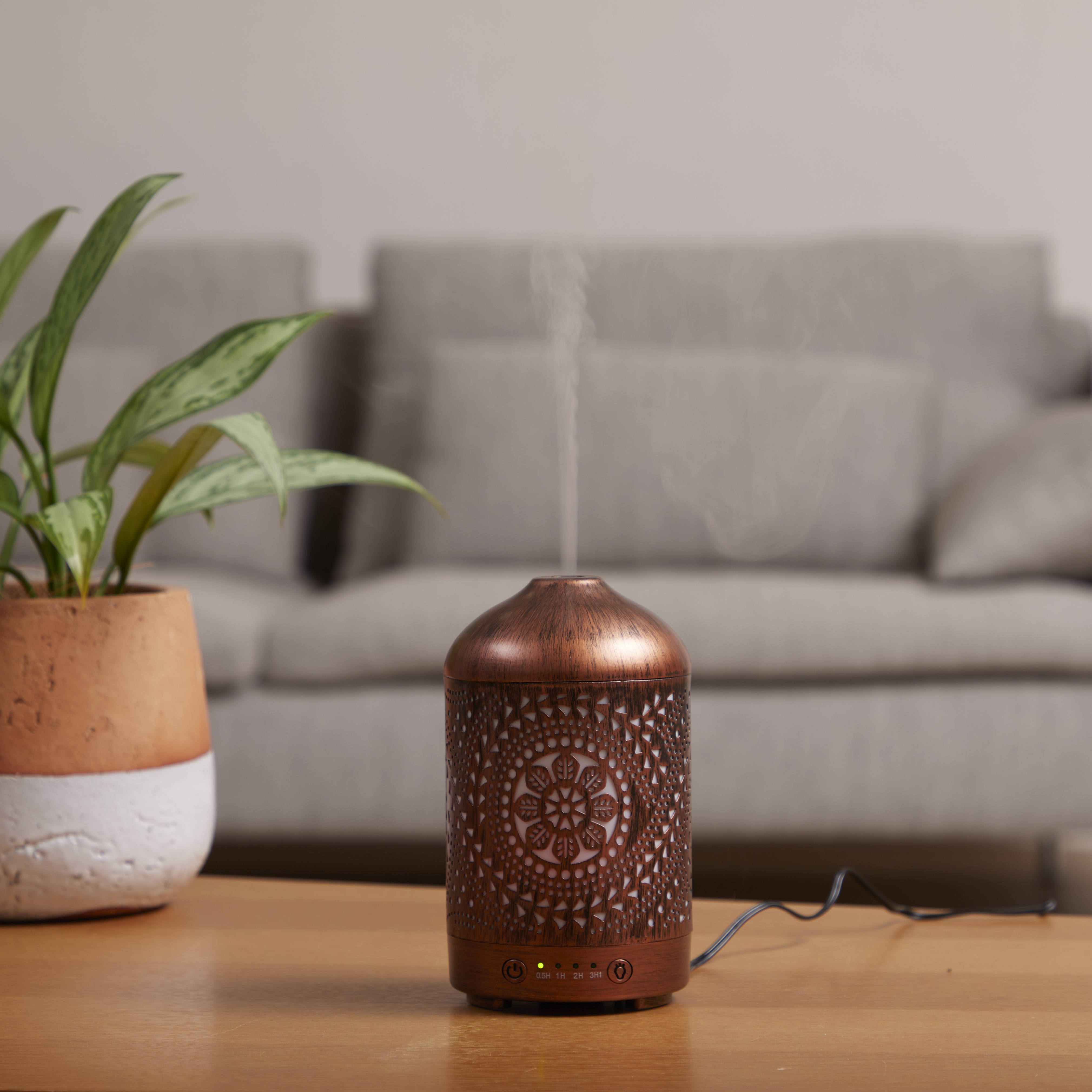Oil Diffuser Metal Diffuser 13