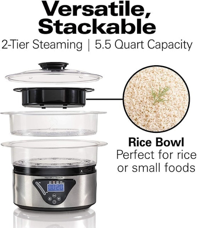 Digital Steamer 2