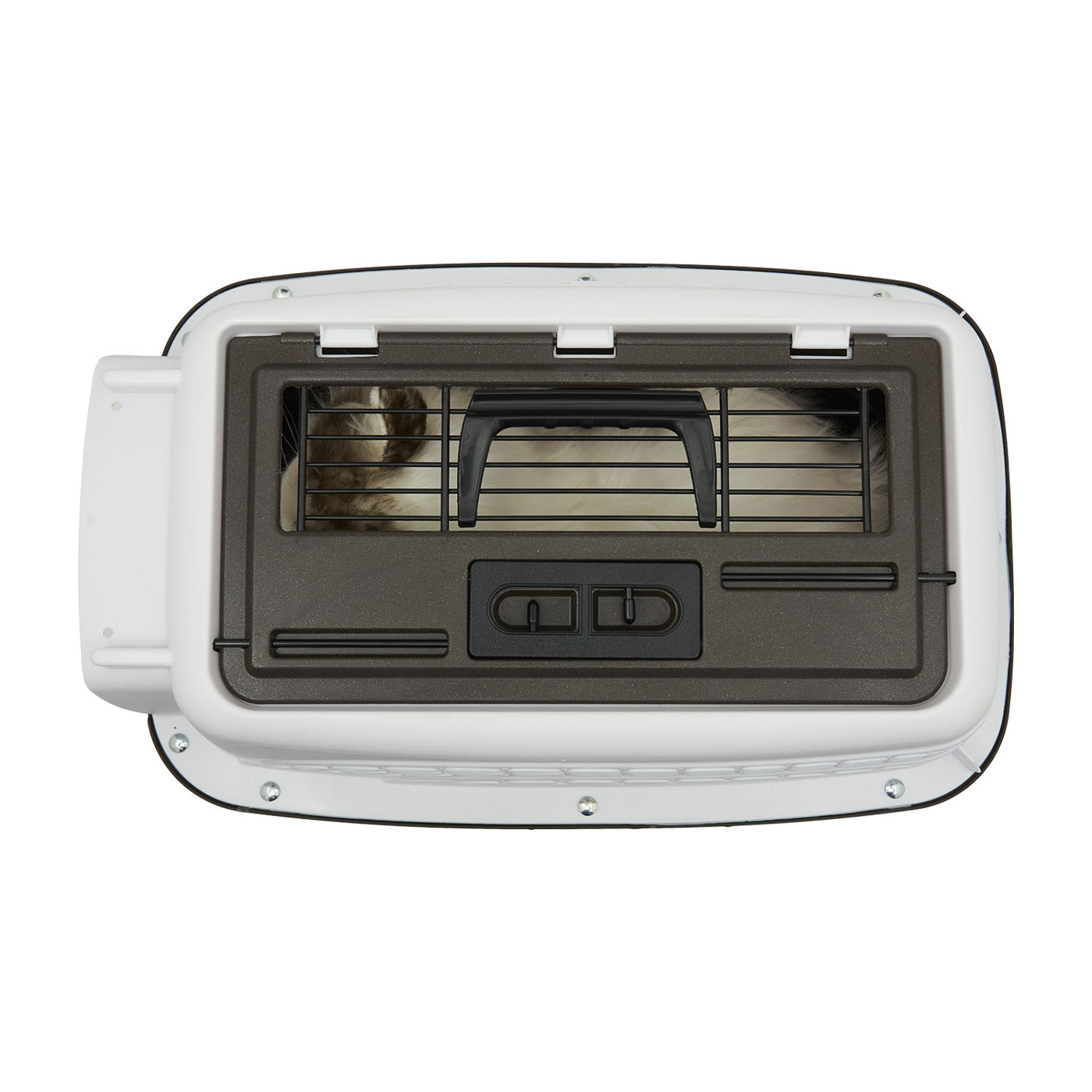 Two-Door Small Dog Kennel & Cat Kennel 6