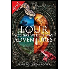 Four You Say Which Way Adventures