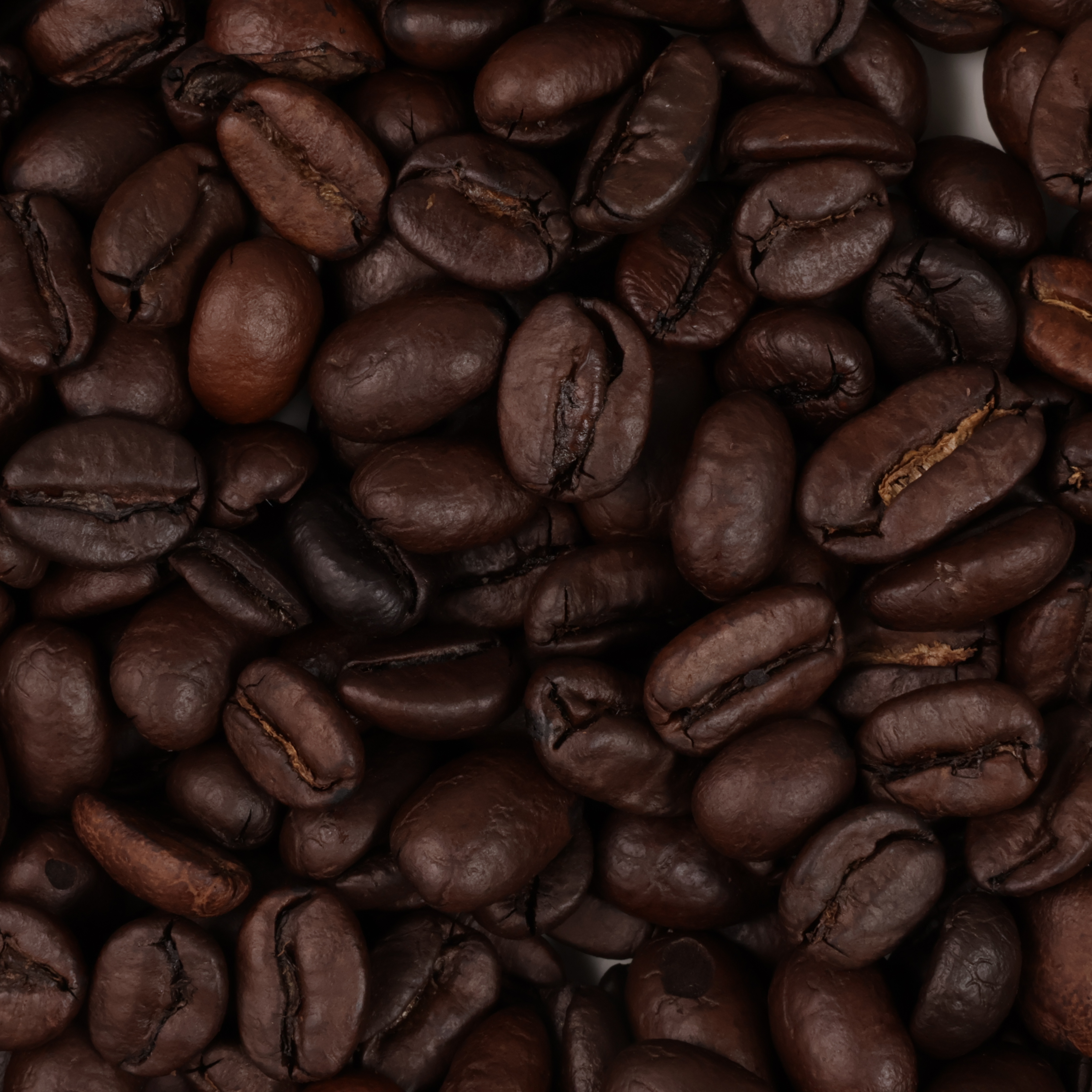 Dark Roast 2