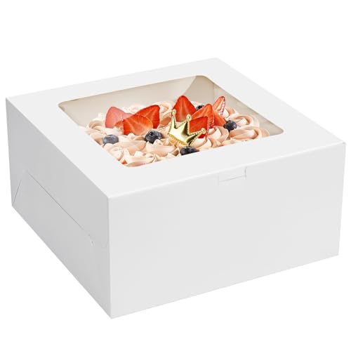 10x10x5 inch Cake Boxes 1