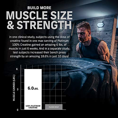 Creatine Monohydrate Powder 2
