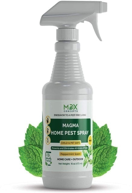 Organic Home Pest Control Spray
