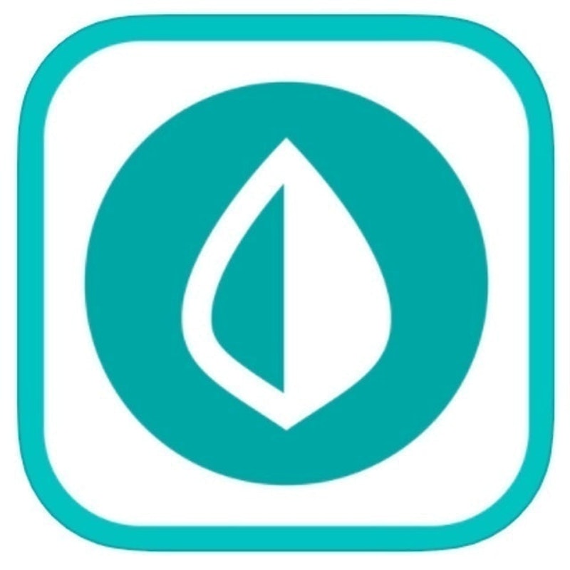 Mint 1