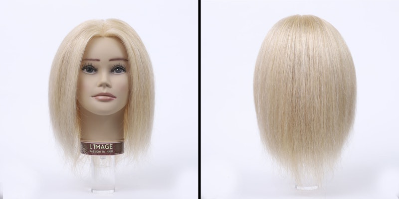 24K Gold One-Step Hair Dryer and Volumizer 5