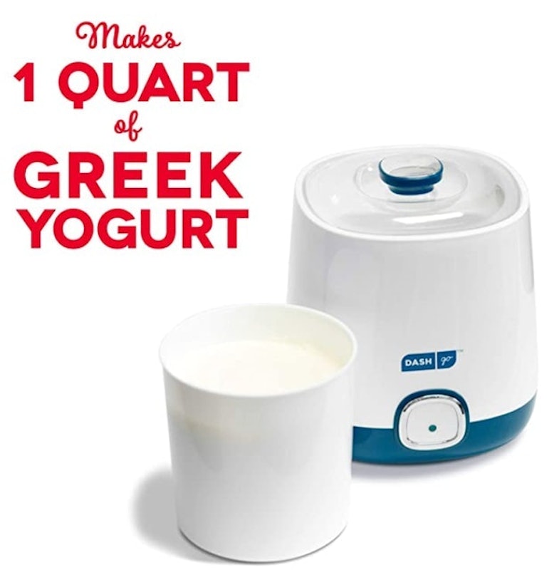 The best greek yogurt maker 2025