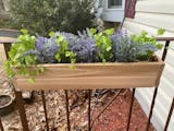 10 Best Railing Planters in 2022 (Master Gardener-Reviewed) 1