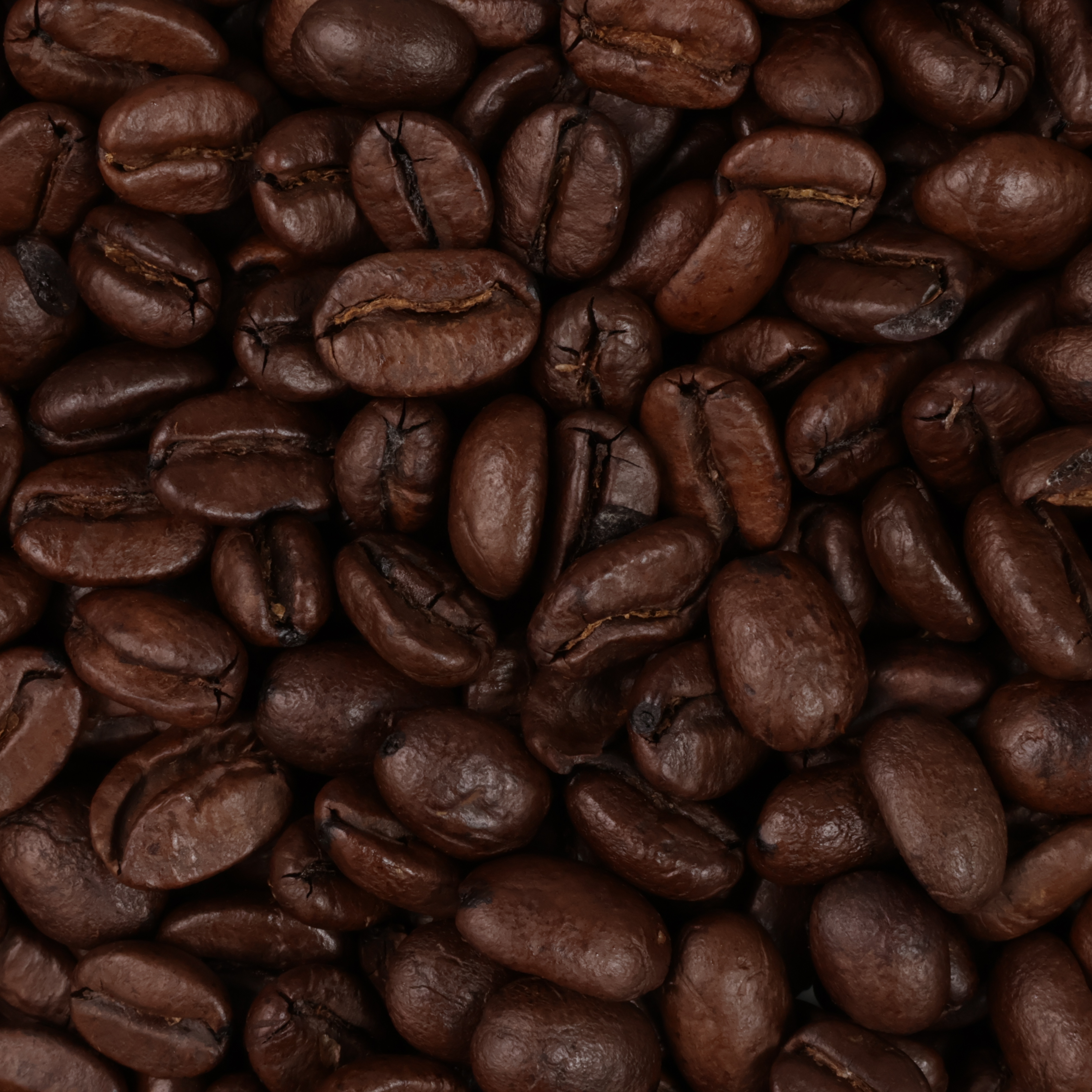Breakfast Blend 2
