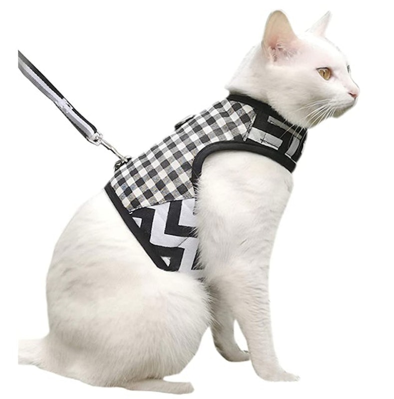 Cat Walking Jacket With Leash 1