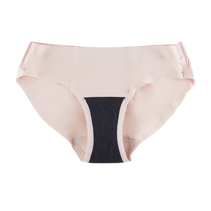 Leakproof Bikini 2