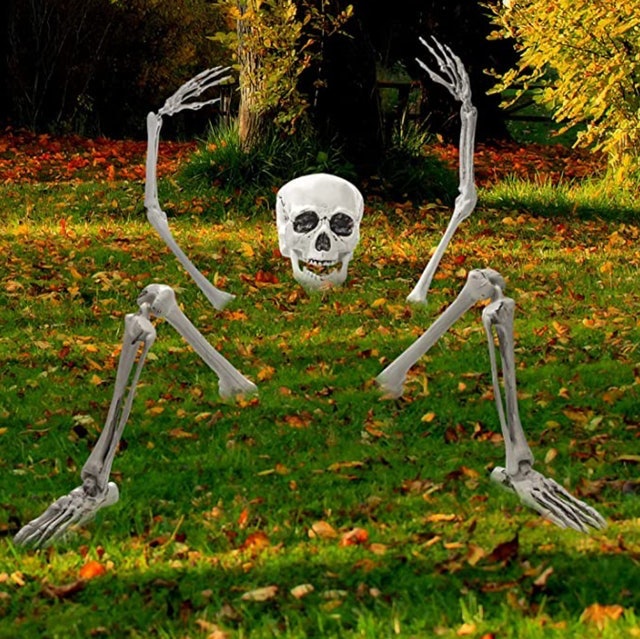 Ground Breaker Skeleton 1