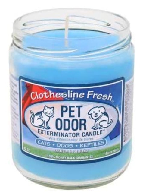 10 Best Pet Odor Eliminator Candles in 2022 (Fresh Wave and More) 2