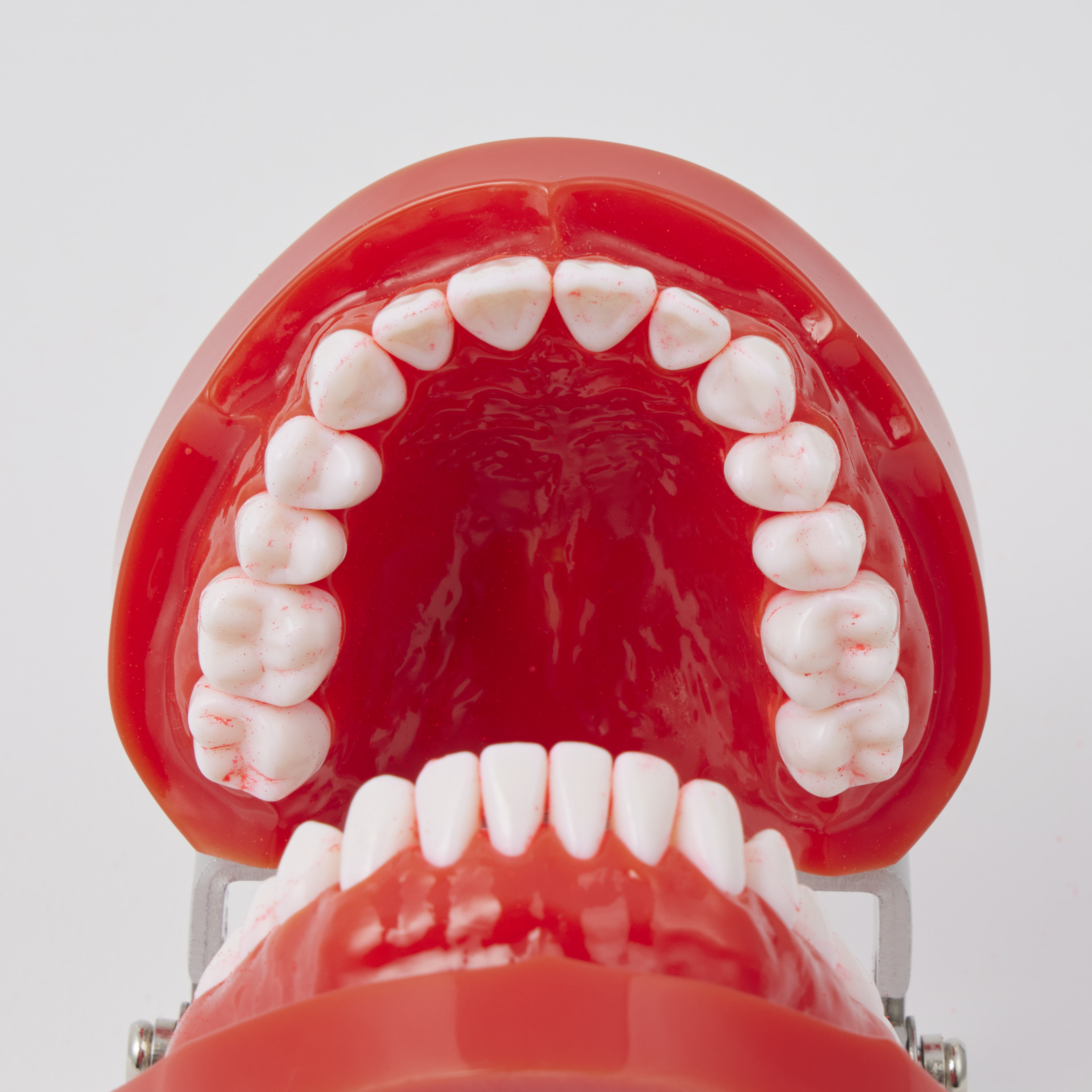 Clinical Battery Powered Toothbrush 10