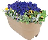 10 Best Railing Planters in 2022 (Master Gardener-Reviewed) 3