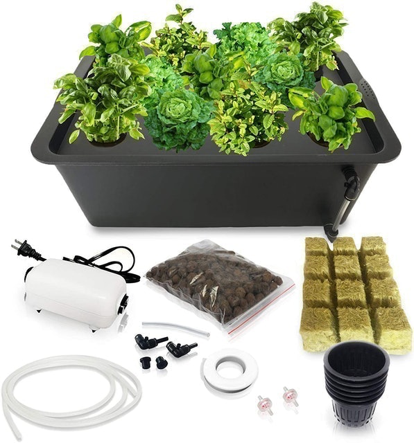 DWC Hydroponics Growing System 1