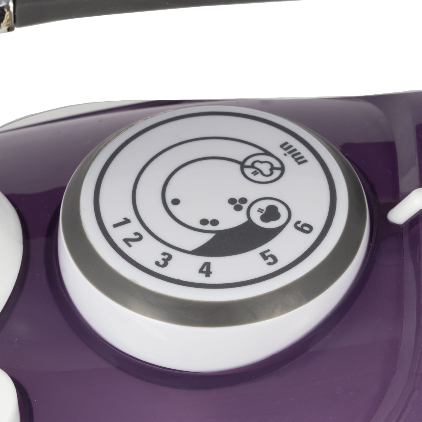 Professional Steam Iron 4
