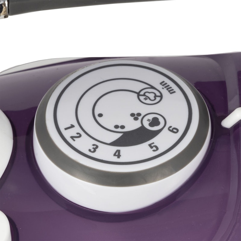 Professional Steam Iron 4