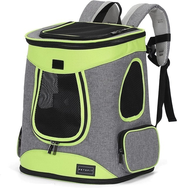 10 Best Dog Carrier Backpacks in 2022 (Dog Adventure Blogger-Reviewed) 1