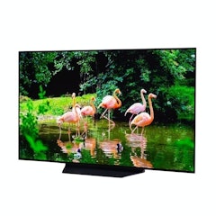 OLED55B1PJA
