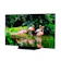 LG OLED55B1PJA 1