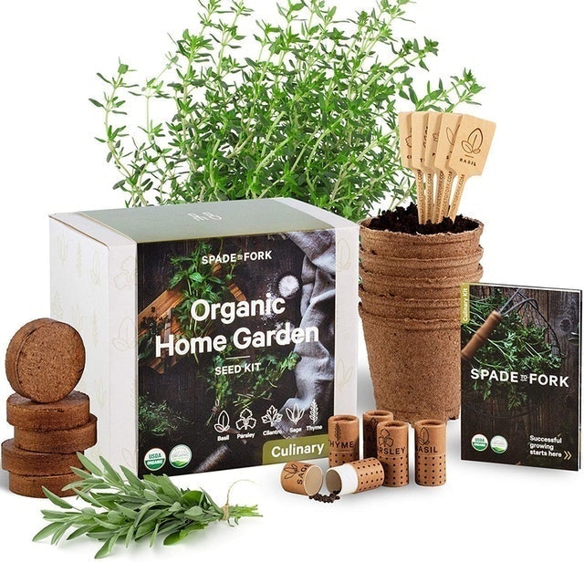 10 Best Indoor Garden Kits in 2022 (Master Gardener-Reviewed) 5