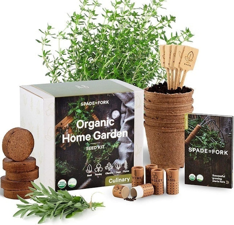 Organic Home Garden Seed Kit 1