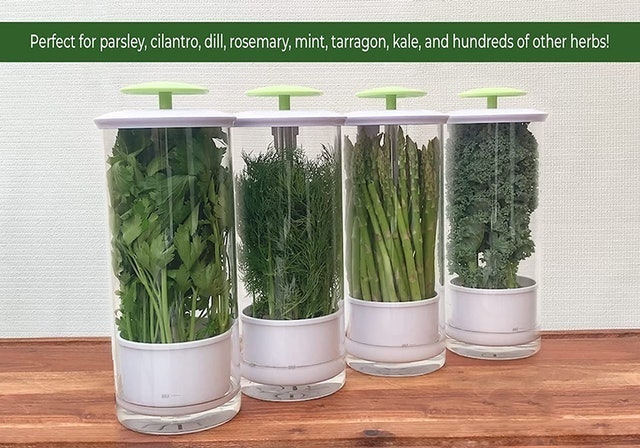 Premium Fresh Herb Keeper 2
