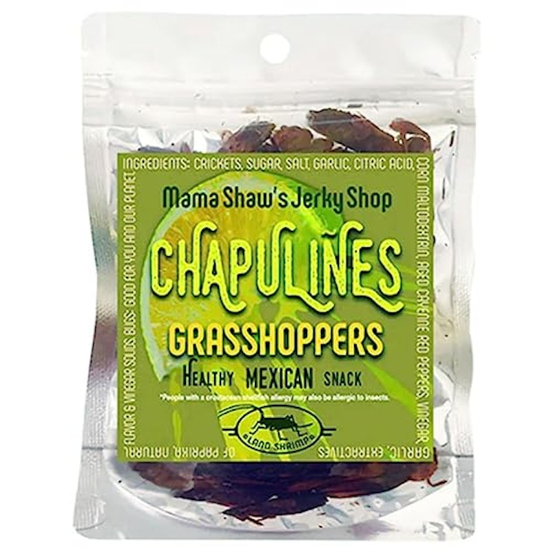 Chapulines Grasshoppers 1