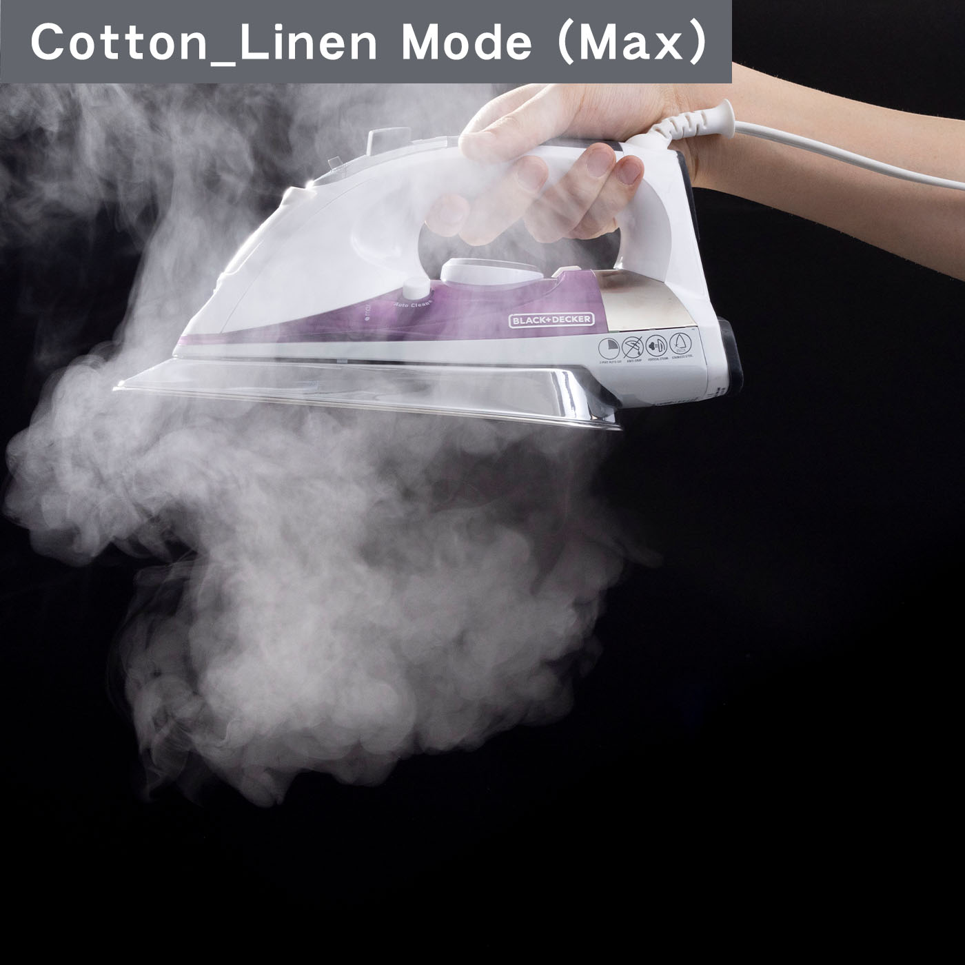Professional Steam Iron 8