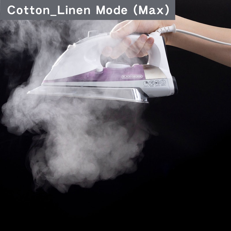 Professional Steam Iron 8