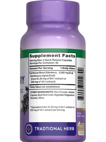 Sambucus Black Elderberry 2