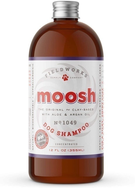 10 Best Dog Shampoos in 2022 (Wahl, Honeydew, and More) 1