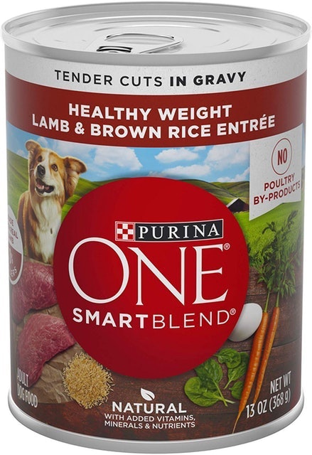 10 Best Wet Dog Foods in 2022 (Pedigree, Cesar, and More) 4