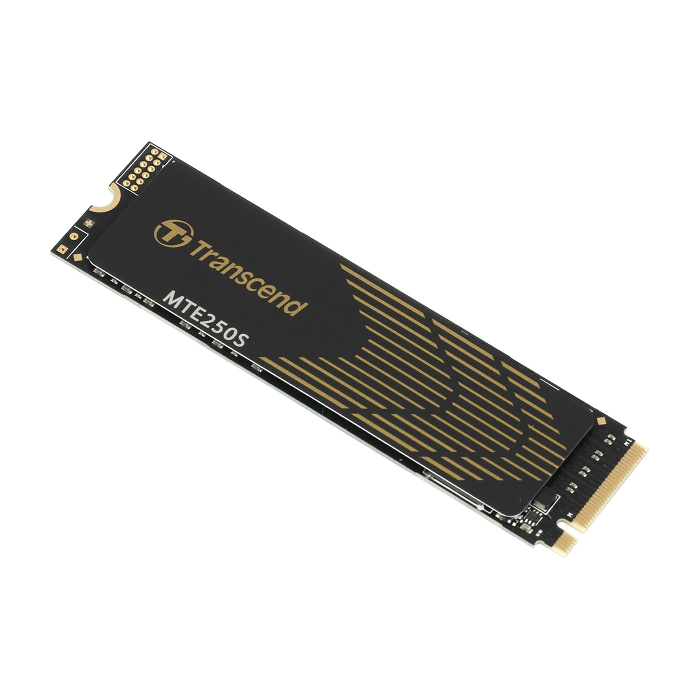 PCIe SSD 250S 1