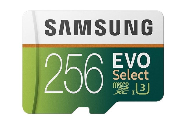 10 Best Micro SD Cards in 2022 (SanDisk, Samsung, and More) 3