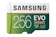 Samsung Samsung 256 GB MicroSDXC EVO Select UHS-I 256 GB 1