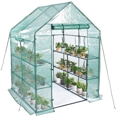 Mini Greenhouse