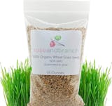 10 Best Cat-Safe Indoor Plants in 2022 (Veterinary Technician-Reviewed) 2