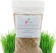 Rose and Branch Organic Cat Grass Seeds 1