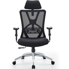 Ergonomic Office Chair