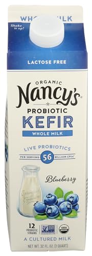 Blueberry Whole Milk Kefir 1