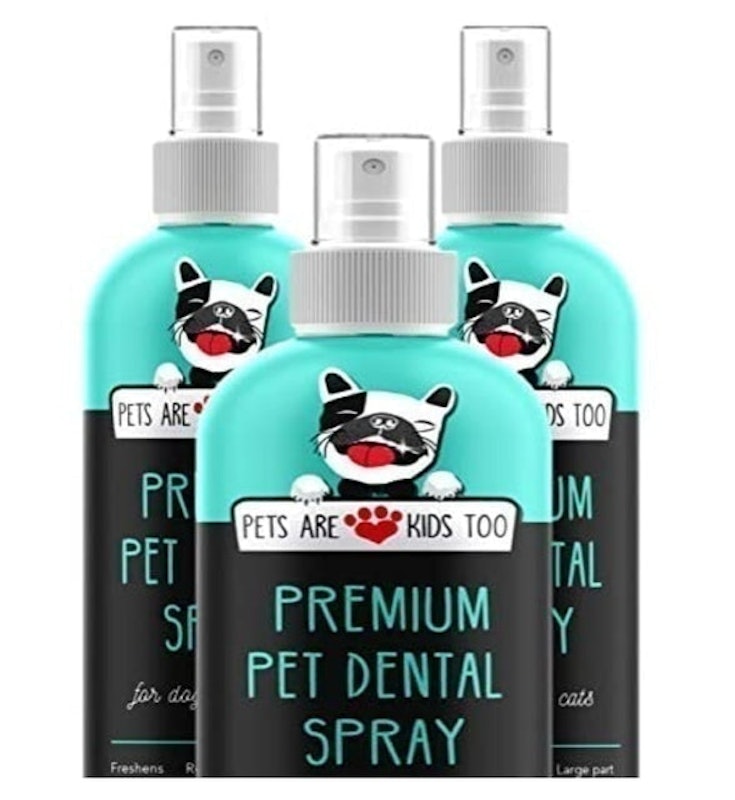 Premium Pet Dental Spray 1