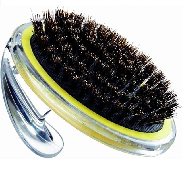 8 Best Dog Brushes in 2022 (Veterinary Technician-Reviewed) 2