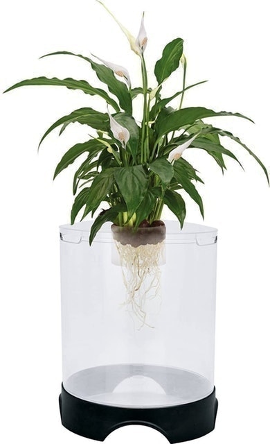 Aquaponic Tank 1