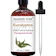 Majestic Pure Eucalyptus Essential Oil 1