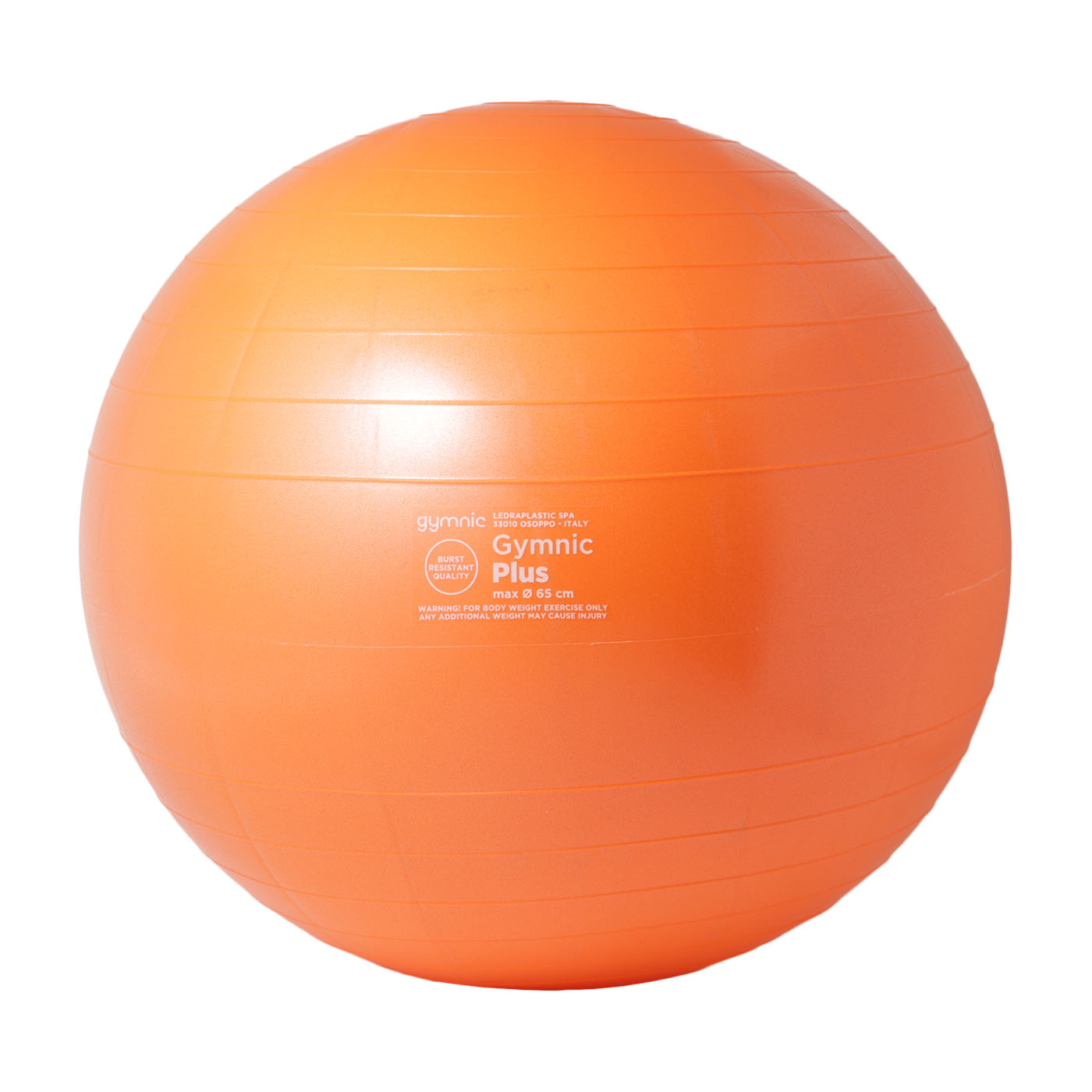 10 Best Exercise Balls [Tested and Reviewed] mybest