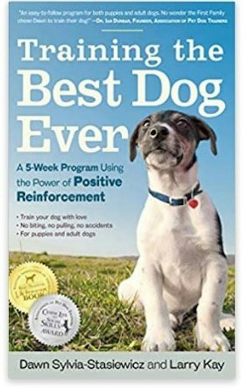 Training the Best Dog Ever 1