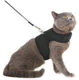 10 Best Cat Harnesses in 2022 (Kitty Holster, rabbitgoo, and More) 3