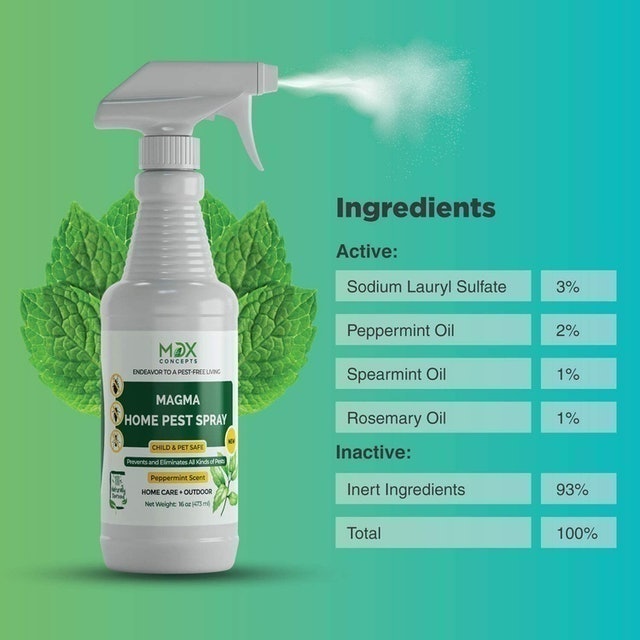 Organic Home Pest Control Spray 2